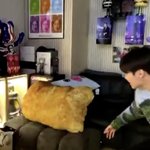 [방탄소년단] 호비 치킨<b>너겟</b> 쿠션도 너퀴즈에서 받은건가?