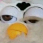 어쩌라고 <b>산</b><b>범</b> 안궁금한 거 안궁금해