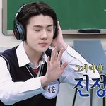 진정진정