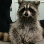 [댓글부탁해] 내 친구가 나 <b>아람</b>이 닮았다는데