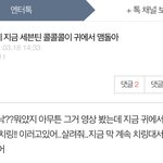 [세븐틴] 이거 무슨 <b>연관성</b>인지ㅋㅋㅋㅋ개웃ㄱㅕ