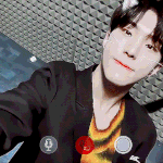 [세븐틴] 그래 호시야 호랑이도