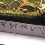 [NCT즌] 와 진짜 레전드다