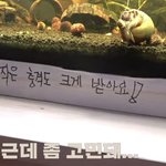 [드루와] 태용이 지 <b>어항</b>에 붙여놓은 것