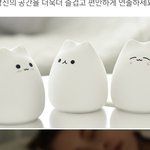 야야야야야 <b>얼른</b> 디자인 머가 귀여워