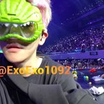 집 다 어질러놓고 <b>홈캠</b> 보는 강아지