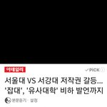 [댓글부탁해] <b>서울대</b><b>vs</b>서강대 레전드 싸움