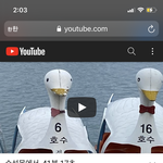 [NCT즌] 찌찌들아 <b>꿀</b><b>팁</b>하나 알려준다
