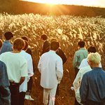 [세븐틴] <b>셉틴</b>이 인기가 많긴 하네
