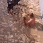 [19] 중국산 김치를 먹으면 안 되는 이유.<b>gif</b>