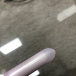 [방탈죄송] <b>탐폰</b>에서 벌레