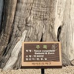 도대체 이거 <b>원산지</b>가 뭐임