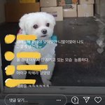 경태 <b>졸</b><b>귀</b>지 않냐 ㄹㅇ