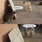 이거 나 너무 못된생각이야?