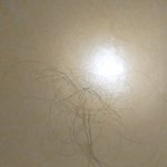 나 한 번 머리감고 <b>말릴</b>때 머리카락이정도 빠지는디