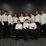 [세븐틴] ㅅㄷ나는 정말정말 웬만하면