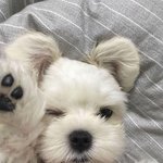 [댓글부탁해] 얘<b>도라</b> 친구 생일선물 추천좀 해줘ㅠㅠ