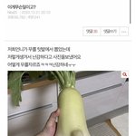 [이것좀봐줘] 판 내로남불 레전드..