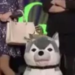 [댓글부탁해] 서울대 진짜 별거 아님??