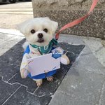 경태 <b>납치</b>하고 싶어
