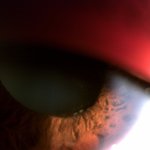 (방탈죄송)식약처의 늑장대처와 유니<b>XX</b>사의 오염된 약품 판매로인해...