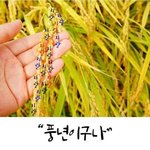 [댓글부탁해] <b>점심</b> 추반좀!