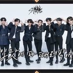 [스키즈] 미안 나 타팬인데