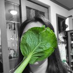 이 <b>채소</b> 이름이 뭘까요?