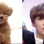 [NCT즌] 왜 또 겁먹은 표정을 짓나~