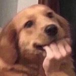 [레즈] 전 <b>여친</b>이랑 헤어지고
