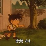 [명탐정코난] 코난 보는 중인데