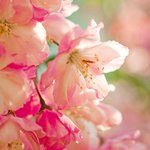 머리나쁜데 이쁜여자랑 못생겼는데 머리좋은여자 <b>둘</b><b>다</b>