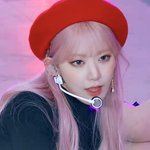 와 시퀀스 <b>사쿠라</b> 개미쳤네