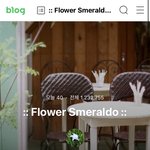 아미들아 너네 이 <b>블로그</b> 알아..?