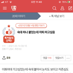 [개깊은빡침] 여대 후려치기 <b>지속</b>적으로올라옴