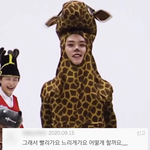 [스키즈] 토북이 댓글모음 ʕ•ᴥ•ʔ