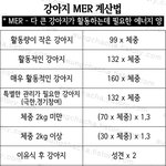 크기별, <b>활동별</b> 강아지 사료양