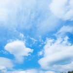 [드루와] 로제랑 장원영 중에 ㄴㄱ 더 말라보임 ?