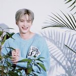 그냥 감인데 펜타곤 ㅈㄴ<b>롱런</b>할거같지않냐?