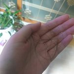[드루와] 너네 머리 한 번 감을때 몇 <b>가닥</b>정도 빠짐?