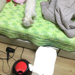 울 아가와 <b>스팸</b> 기다리는중
