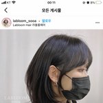 <b>허쉬</b>컷 기장 추천좀