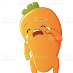 [세븐틴] Carat <b>now</b>