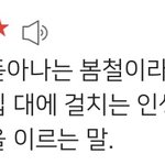 [세븐틴] <b>청춘</b>