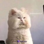 전교 100등 <b>의대</b> 간다