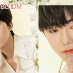 [NCT즌] 흑발 흰<b>셔츠</b> 렌즈