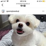 경태 9살이래..