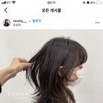 <b>허쉬</b>컷 할건데 이 사진 보여주고 해달라하면
