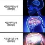 나 지금 <b>알</b>바 보러 감 <b>개</b>급해