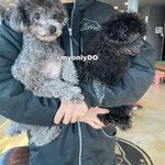 우리 먹물<b>후추</b>님